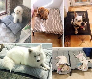 China Groothandel Fabrikant Duurzame Metalen Frame Verhoogde Smeedijzeren Verhoogde Hond Bed - Product Image 5