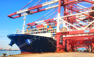 Servizio di trasporto merci marittimo Multi-schema conveniente per il trasporto marittimo di qualità professionale porta a porta per il mondo per FCL - Product Image 4