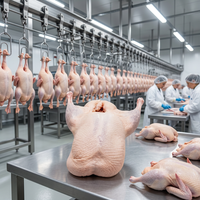 할랄 냉동 발 없는 오리 통살(내장 제거) 대량 도매 흰오리 2.0-2.5kg 수출용 IQF 가금류 공급업체
