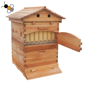 Ruche automatique en bois, ruche à abeilles automatique, équipement d'apiculture, ruche à flux automatique, ruche à flux automatique - Product Image 5