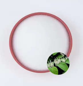 Extracto de planta orgánica de alta pureza, polvo de resveratrol, extracto de hierbas, polvo de resveratrol Natural - Product Image 1