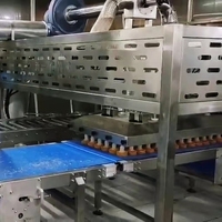 Équipement électrique multifonctionnel de boulangerie de machine de démoulage de gâteau de pain d'argent de Wanlisonic