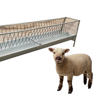 Équipement d'élevage en gros : Mangeoire automatique en fer galvanisé et acier coloré pour moutons et chèvres