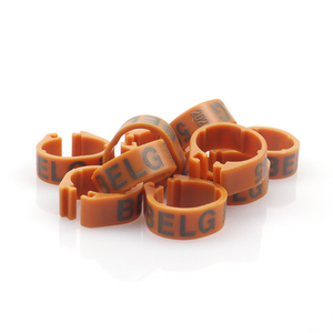 8mm <span class=keywords><strong>10mm</strong></span> פלסטיק יונה רגל רגל טבעות כידון דיגיטלי טבעת פתוח carrier מרוצי יונים יונה עם מילה רגל טבעת - Product Image 5