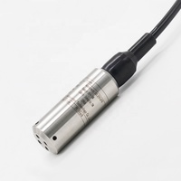 Capteur de niveau d'eau immergé IP68 pour forage, avec plage de mesure de 0-1000 m H2O et haute précision