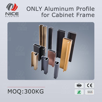 Profilé de cadre en alliage d'aluminium 6063 mince de 20 mm 45 mm pour armoires de cuisine, norme européenne certifiée ISO 9001