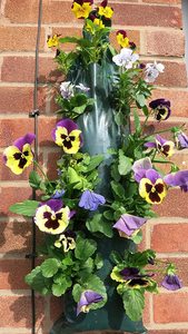 Jardín <span class=keywords><strong>vertical</strong></span> jardinera colgante de <span class=keywords><strong>pared</strong></span> - Product Image 5