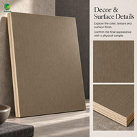 Panneau de contreplaqué plaqué en placage de bois gris Jinbase W-KJ-219, qualité E0, 1220x2440mm (4x8), pour meubles de maison et d'hôtel