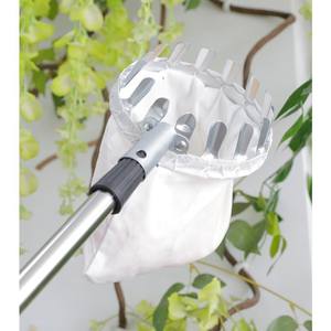 Cueilleur de fruits télescopique en acier inoxydable pour jardin, <span class=keywords><strong>verger</strong></span> et agriculture industrielle, léger, pour prunes, kakis et loquat, OEM - Product Image 2