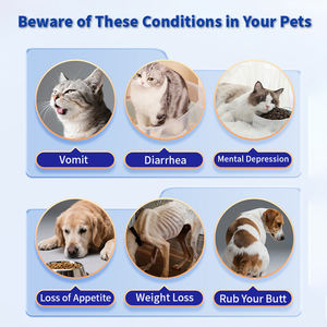 기생충과 독소 제거를위한 천연 허브 프로 바이오 틱 고양이 Deworming 보충제 방울 - Product Image 3