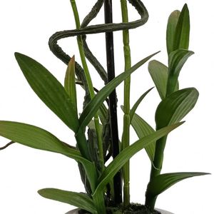 Orchidées artificielles Phalaenopsis à tige unique, aspect naturel, blanches, pour la décoration intérieure et extérieure, vente en gros - Product Image 6