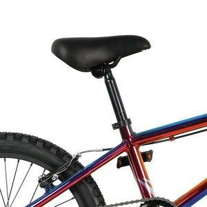 <span class=keywords><strong>BMX</strong></span> Arco Iris estilo fresco niños jóvenes carreras Estilo libre 20 pulgadas <span class=keywords><strong>BMX</strong></span> bicicleta para niño niña - Product Image 3