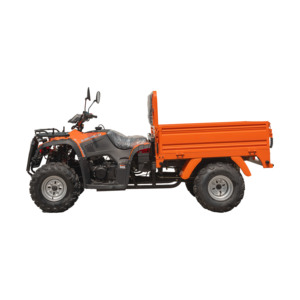 Quad utilitaire 4x4 287cc KING GANG DL300U-1.2A |   Quad tout-terrain CVT électrique et à démarrage thermique pour la ferme - Product Image 3