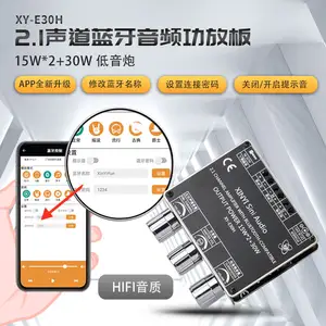 XY-E30H2.1 Channel Bluetooth Audio Amplifier Board Module High and Low Tone Extra Bass App Xin Yi Lian