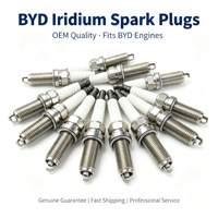 Bougies d'allumage Iridium BYD pour Qin Plus Song Plus DM-i 1.5L, OE 13505385-00, Allumage stable, démarrage à froid, longue durée de vie 80000KM