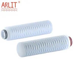 10" Hydrophobic PTFE Membrane Pleated Filter Cartridge for Wine Beer Filter Water Filter