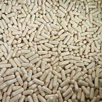 Pilules énergétiques pour hommes OEM ODM, herbes naturelles, capsule de Tongkat Ali, Maca, amélioration de la vitalité pour adultes, non destiné aux femmes enceintes