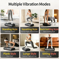 Équipement de sport de haute qualité pour salle de sport, masseur corporel complet, équipement de fitness, plaque vibrante