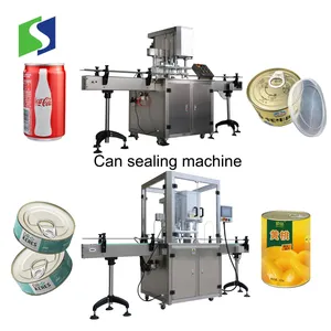 High Accuracy Food Grade Powder Filling Machine Spices Filler Powder Filling Packaging System