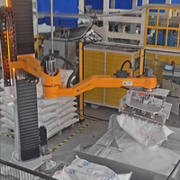 Ouvre-sacs robotisé 4 axes pour flocons de plastique recyclé, 25-100 kg/sac, 80-120 sacs/h, IP52, anti-poussière, option anti-explosion, PLC