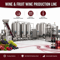 Chaîne de production clé en main entièrement automatique en acier inoxydable pour la pasteurisation industrielle et le traitement de jus de fruits (orange, mangue) et de concentrés NFC