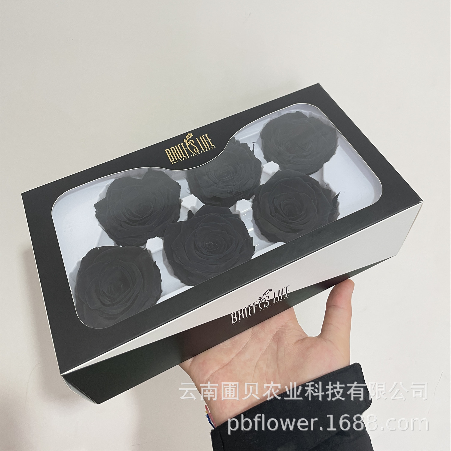 Noir-pack de 6