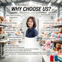 Pabrik Grosir OEM ODM Mainan Boneka Kadal Bunglon Realistis Berkualitas Tinggi Premium untuk Hadiah Ulang Tahun Anak-anak.