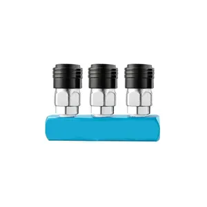 High Quality Wholesale Price Pneumatic Multipass Quick Coupler Air Fitting Manifold Block Air Splitter Hose Connector