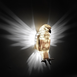 Design popolare luce notturna 3D camera per <span class=keywords><strong>bambini</strong></span> staffa lampada Eagle Animal Cool camera dei <span class=keywords><strong>bambini</strong></span> decorazione LED lampada da parete - Product Image 3