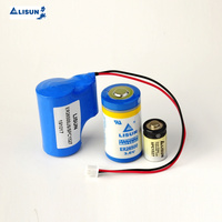 Batterie au lithium primaire 7,2 V 19 Ah 19000 mAh ER34615 2S1P taille D, pack de batteries au chlorure de thionyle, batterie d'allumage pour gaz
