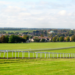 Clôture de cheval d'arène professionnelle avec rails de sécurité Breakaway idéal pour la clôture de course de chevaux d'entraînement de sprint <span class=keywords><strong>pur</strong></span>-<span class=keywords><strong>sang</strong></span> - Product Image 2