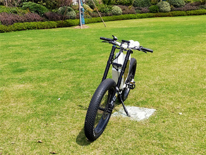 Adulte 72V 8000W Max 12000W Ebike <span class=keywords><strong>2021</strong></span> Steaith Bomber Frame Dirt Electric Mountain Bike Chinese Electric Dirtbike - Product Image 2