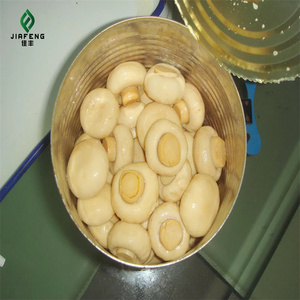Trung Quốc đóng hộ<span class=keywords><strong>p</strong></span> nút nấm <span class=keywords><strong>champignon</strong></span> trong lon - Product Image 4