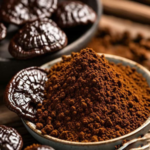 Chất lượng cao <span class=keywords><strong>Ganoderma</strong></span> <span class=keywords><strong>lucidum</strong></span> chiết xuất Polysaccharide Reishi Nấm chiết xuất bột - Product Image 1