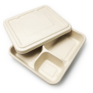 Kingwin Biodegradável Cana De Açúcar De Bambu Fibra Polpa Food Tray Sugarcane Bagasse Lunch Box com Tampa