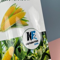 Sacs de conditionnement pour semences d'aliments pour animaux de ferme en PET/VMPET/NY/PE, impression personnalisée, super sacs à fermeture éclair pour maïs, 1 kg, 5 kg, 8 kg, 10 kg, thermoscellage