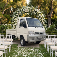 Camionnette électrique Esun 10KW haute puissance, 5000W, autonomie 240 km, batterie lithium-ion ternaire, logo et couleur personnalisés