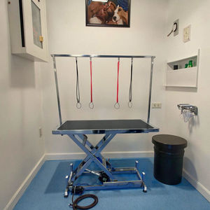 Table de toilettage pour animaux de compagnie directe en usine Table de toilettage pour chiens de levage électrique - Product Image 3