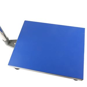 Indicateur A12 Étanche 300kg Fonction de poids électronique Balance à plate-forme en acier au carbone utilisée industrielle - Product Image 6