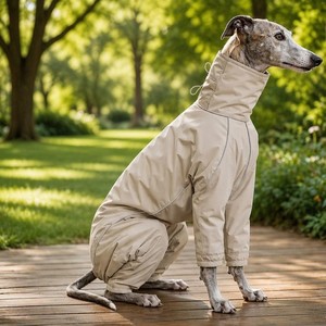 Manteau imperméable et coupe-vent pour chien Greyhound, veste réfléchissante pour animaux de compagnie, impression personnalisée couleur OEM ODM, tenue d'extérieur, vêtements pour animaux - Product Image 6