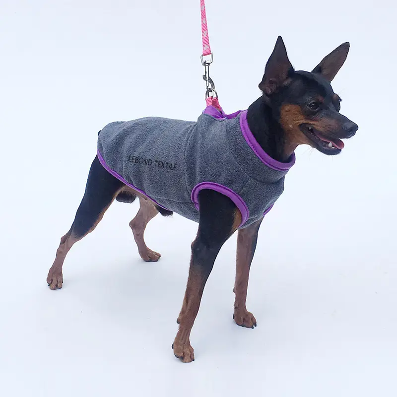 Pull d'hiver molletonné avec boutons ouverts pour chien, vêtement animaux domestiques multi-couleurs, confortable, en tissu