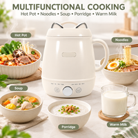 Marmite Électrique Multifonctionnelle 1L : Hot Pot, Cuiseur à Nouilles, Soupe, Porridge, Cuiseur à Riz, Chauffe-Lait avec Présédition 24H et Fonction Maintien au Chaud