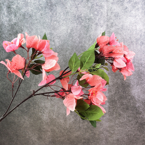 En gros Pas Cher Soie Artificielle <span class=keywords><strong>Bougainvillier</strong></span> Plante Fleur <span class=keywords><strong>Bougainvillier</strong></span> Blanc pour Arc - Product Image 6