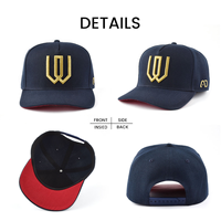 Topi Baseball Pria Bordir 3D Berkualitas Tinggi 100% Katun, Pinggiran Melengkung 5 Panel, Gorras Olahraga