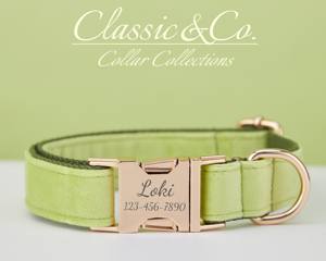 Collar y Correa Personalizados para Perro Avocado Vee con Diseño de Flor y Lazo, Placa con Nombre Grabada en Oro, Accesorio Unisex para Cachorros de Boda - Product Image 2