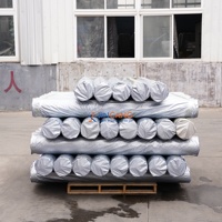 Rouleau de bâche en PE argenté 150 g/m² résistant aux intempéries pour les projets de construction et de toiture