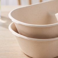 Handige, wegwerpbaar, biologisch afbreekbare voedselcontainers van suikerrietpulp, lunchbox voor salade en fruit