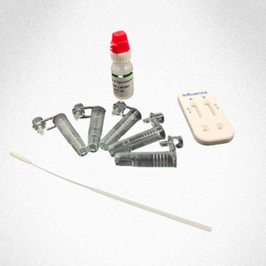 진단 급속 항원 검사 키트 인플루엔자 A + B 항원 검사 카세트 독감 검사 키트 - Product Image 3