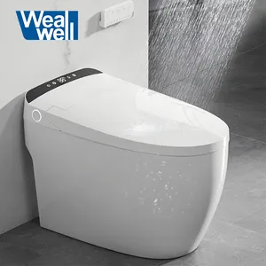 Sanitary Ware Fashion Design Display Screen Multiple Intelligent Cleanse Modes Instant Heating Seat Smart Toilet