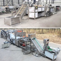 Machine de traitement continue pour gingembre, ail cristallisé, oignon et curcuma, fournisseur d'équipements et de poudres